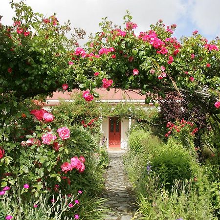 Ferryman'S Cottage Γουανάκα Εξωτερικό φωτογραφία