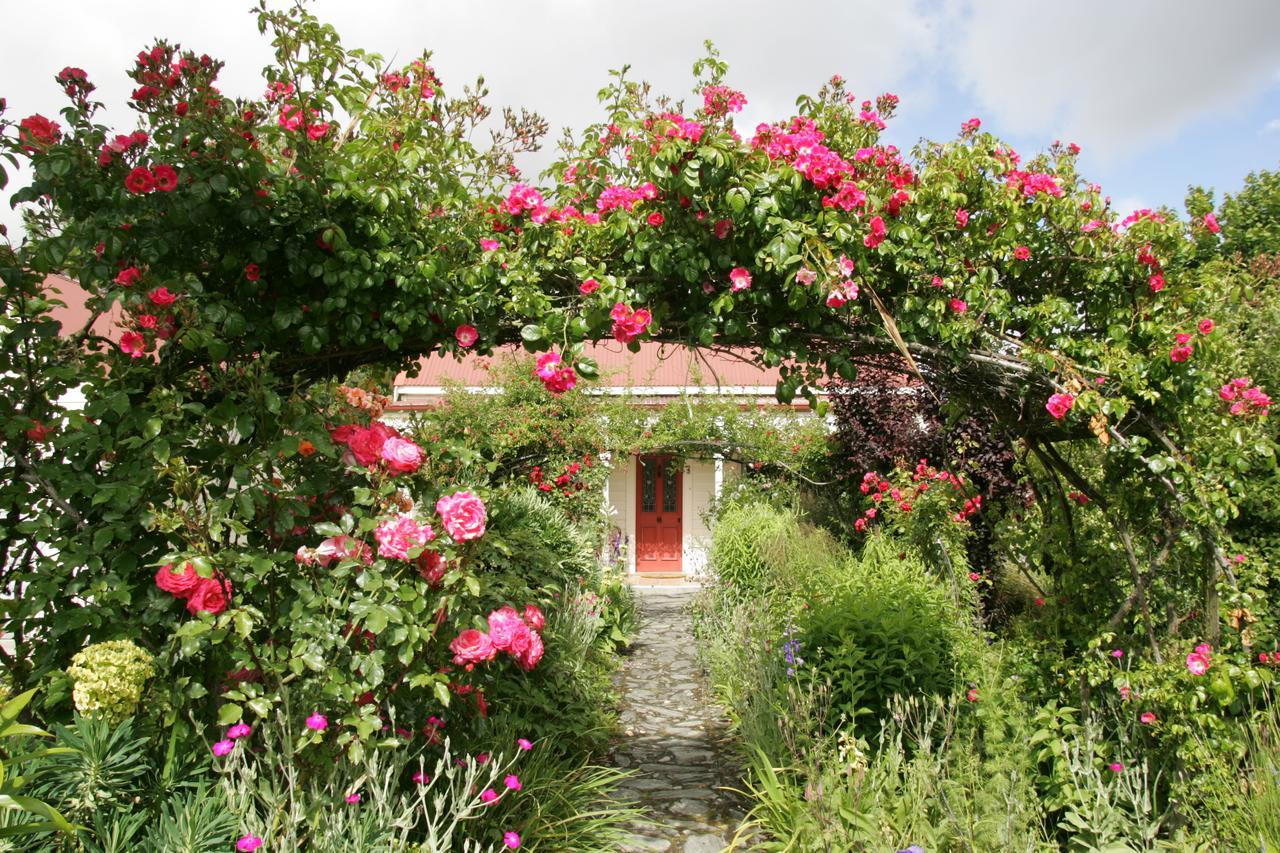 Ferryman'S Cottage Γουανάκα Εξωτερικό φωτογραφία